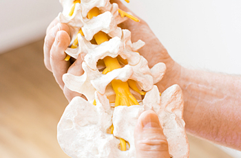 physiotherapie-cranio-linkbox_129_1.jpg